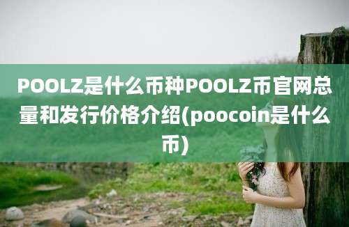 POOLZ是什么币种POOLZ币官网总量和发行价格介绍(poocoin是什么币)