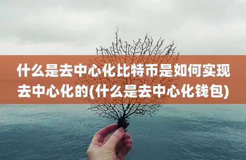 什么是去中心化比特币是如何实现去中心化的(什么是去中心化钱包)