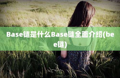 Base链是什么Base链全面介绍(bee链)