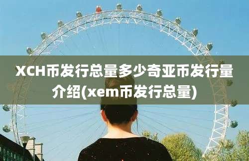 XCH币发行总量多少奇亚币发行量介绍(xem币发行总量)