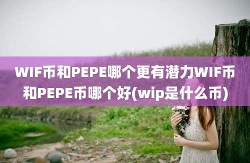 WIF币和PEPE哪个更有潜力WIF币和PEPE币哪个好(wip是什么币)